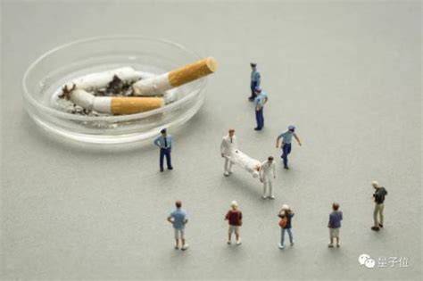 卷烟流水线工人超30%是研究生，不是双一流，连进厂的资格都没 ...