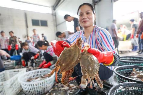 一场直播卖掉上万斤梭子蟹，淘宝舟山开渔要让海鲜到餐桌零距离__财经头条