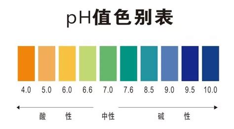 PHS-3E 型pH计