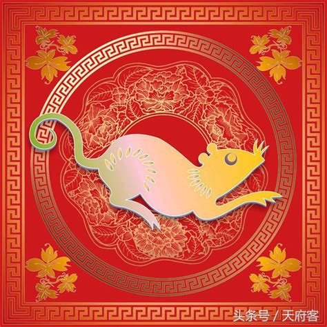 十二生肖 鼠摄影图__传统文化_文化艺术_摄影图库_昵图网nipic.com