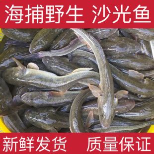 东北法罗鱼产地批发，黑龙江鳊花鱼货源价格，冷冻鳊花