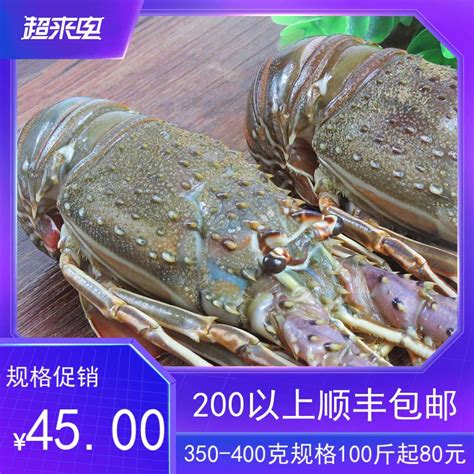 [小青龙批发]小青龙虾 欢迎购买价格168.8元/箱 - 惠农网