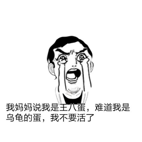 一动不动是王八图片