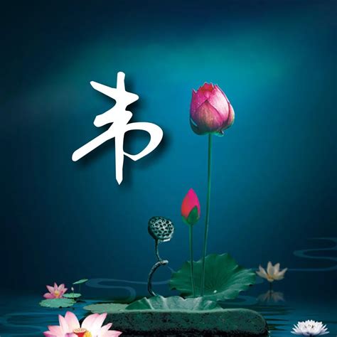 姓氏头像韦非主流
