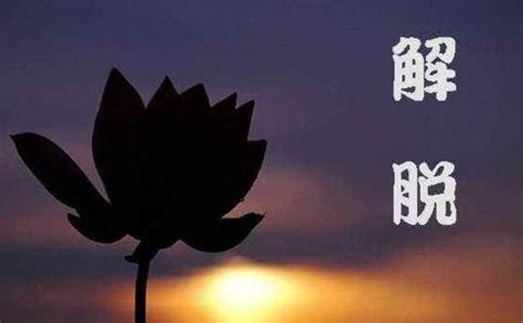 解脱的图片