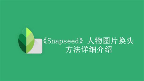Snapseed如何给照片人物更换人头-Snapseed人物图片换头方法是什么-哪路多下载