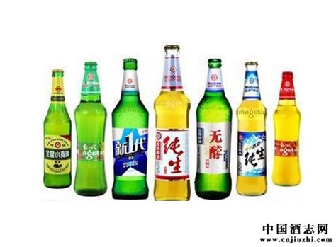 中国啤酒 排行榜_2017中国十大啤酒品牌排行榜(3)_中国排行网