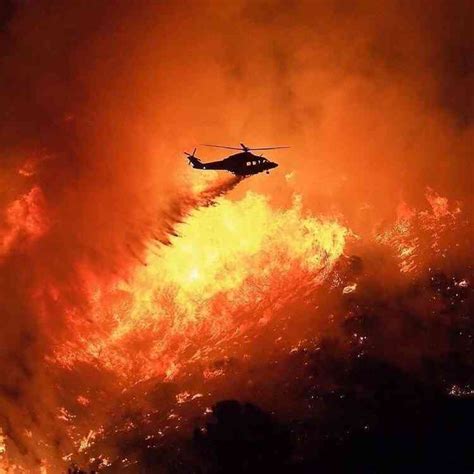 美国加州发生山火 过火面积超过80公顷-新闻中心-温州网