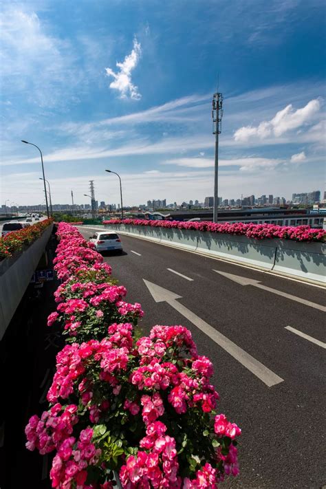机场第二通道迎宾路高架项目详情（持续更新）- 哈尔滨本地宝