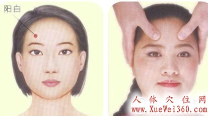 阳白的准确位置图图片 阳白的准确位置图图片