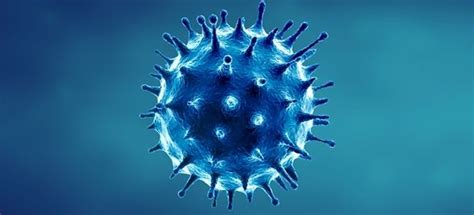 法国称发现新型变异新冠病毒-法国科学家新发现一新冠变种毒株 - 见闻坊