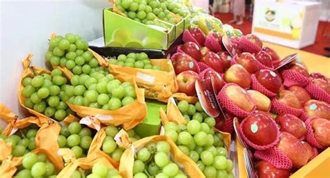 【创新视角】2021年全球水果进出口贸易分析 香蕉鳄梨苹果是主要进出口品类_行业研究报告 - 前瞻网