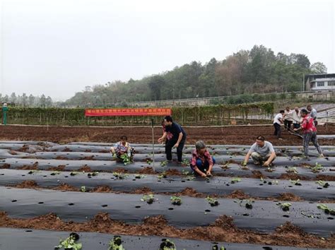 《璧山：2018年市级蔬菜产业发展资金项目》申报