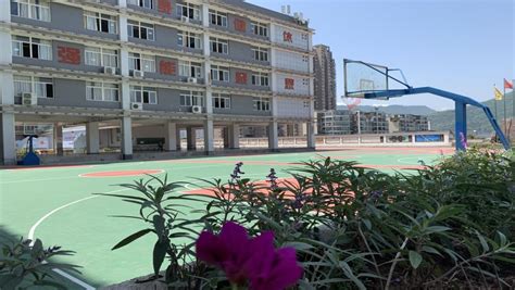 阳西县中等职业技术学校新校区迎来了首批新生 -阳西县人民政府网站