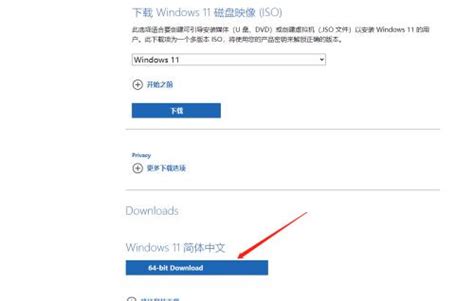 win7原版iso_2020年微软MSDN原版系统镜像下载 包含Windows10/7/8/8.1/XP系统-CSDN博客