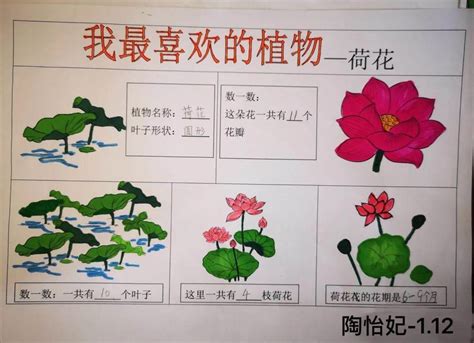 【推荐】小学描写植物的作文400字集锦10篇