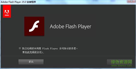 谷歌浏览器怎么打开flash？Chrome启用flash插件技巧分享 - 系统之家