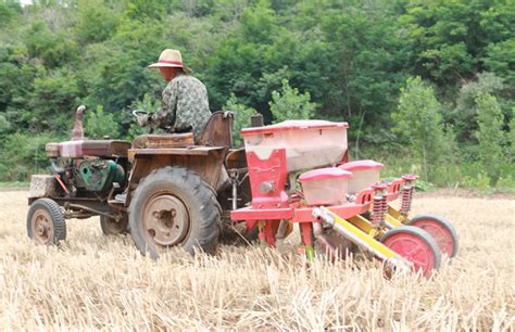 麦收接近尾声 农民夏播夏种忙 - 济源网