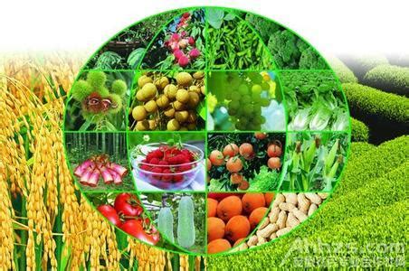 农产品绿色安全 西安“菜篮子”工程建设成效显著_陕西频道_凤凰网