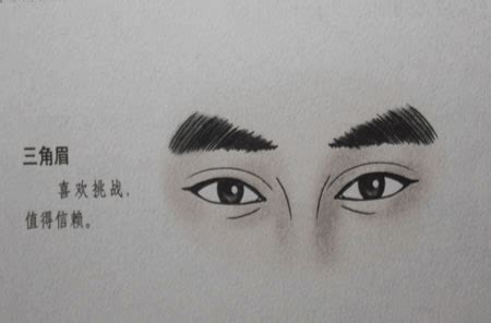 面相眉毛图解大全图片