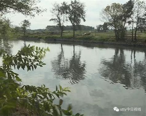 大塘黑臭水体治理 - 河南道嬉环境工程有限公司