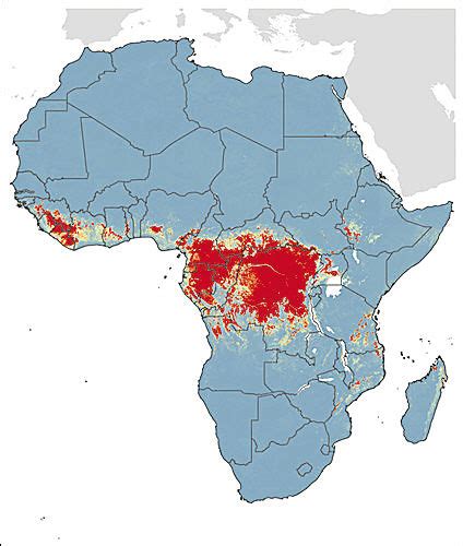 科学家绘制埃博拉疫情地图_新浪新闻