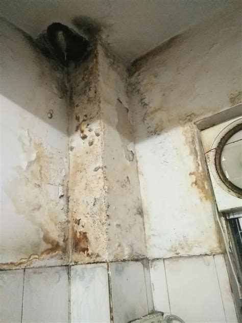 厨房漏水最常见的几个问题，看完以后厨房漏水也不怕了