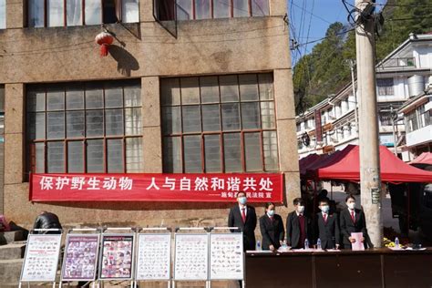 施甸法院到酒房乡集市开展“世界野生动植物日”主题宣传活动_澎湃号·政务_澎湃新闻-The Paper