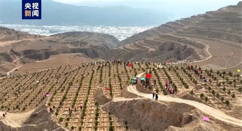 宽城满族自治县人民政府 部门财政（务）预算 宽城满族自治县苇子沟乡人民政府2019年预算公开