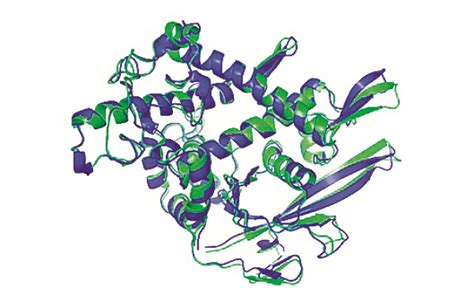 预测蛋白质结构 - CSDN