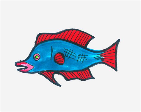 儿童学画画：热带鱼的画法-露西学画画