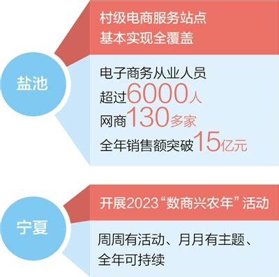 盐池县首张全面数字化电子发票受票成功-宁夏新闻网