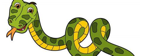 孕妇梦到蛇是什么意思 - 解梦命理 - 微文网(维文网)