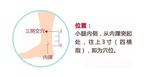 三阴交位置图图片