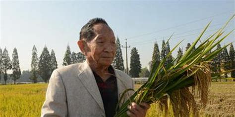 91岁的袁隆平去世！他55年前的发现开启了杂交水稻科研大协作_手机新浪网