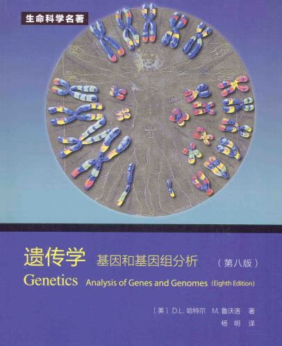 基因viii 中文版下载-基因8中文版pdf下载高清电子版-绿色资源网