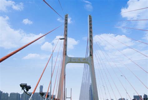4K超清航拍桥星海湾大桥视频特效素材-千库网