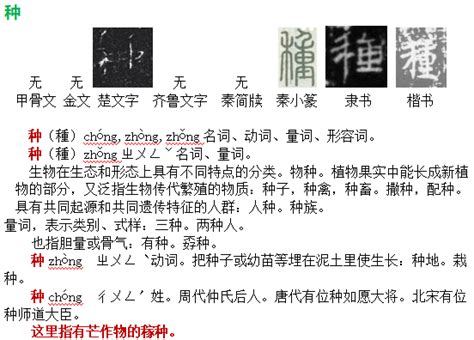 中国奉献·文化奇观·历法指南·廿四循环·追根溯源·继承发展 解读节气“芒种”_人物榜
