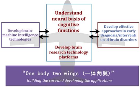 江门脑博士全脑开发记忆力训练营-全面解析江门最强大脑培训机构排名