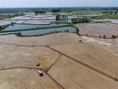 肥西县山南镇：作风建设不松劲 节后督查促收心_手机新浪网