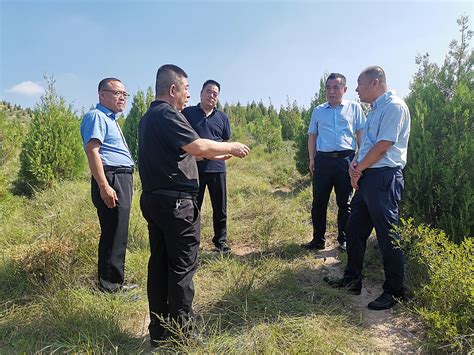 蒲城县开展2023年上半年林长制考核工作--蒲城县人民政府