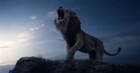 电影《狮子王》真人版，2019强势来袭！_腾讯视频