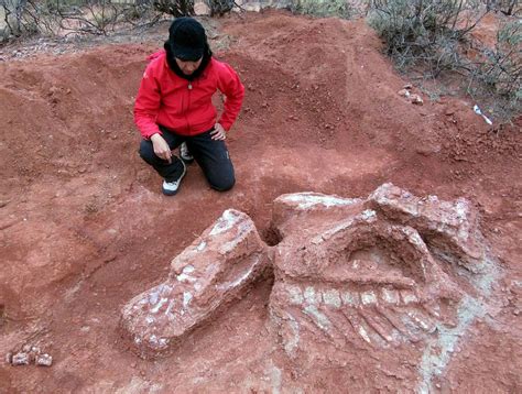 复活恐龙：从石头里凿出2亿年前的故事_四川在线
