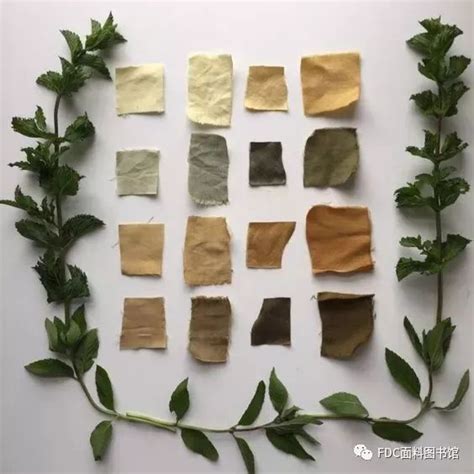 草木染——中国古代绝美的自然染色技法_凤凰网