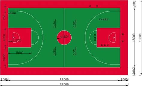 篮球场的宽度和长度分别是多少？-