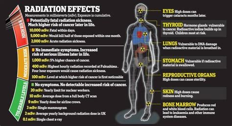 中子辐射对人体的伤害（核辐射对人体的危害有哪些） – 碳资讯