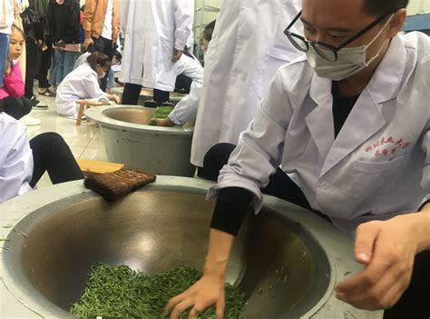 四川农业大学第十二届制茶技能大赛决赛成功举办-四川农业大学园艺学院