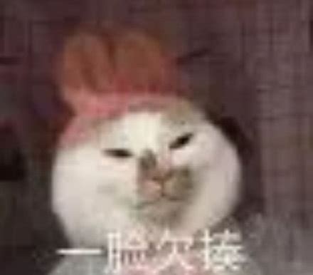 欠揍表情包图片