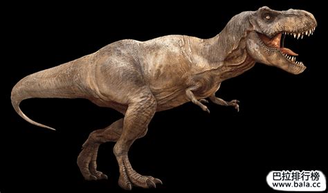 世界十大致命的恐龙 棘龙最可怕，霸王龙咬合力达12万牛顿--趣奇闻