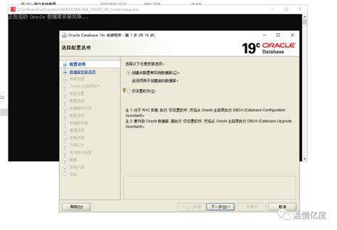 oracle基目录_Oracle 最新版本安装教程(19.3)_十一万樱桃的博客-CSDN博客